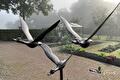 Bronzen beeld van vliegende ganzen in een mistige tuin