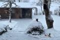 Besneeuwde tuin met tuinhuis, bomen en struiken onder dikke sneeuw