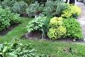 Moestuinbed met sla en kruiden omringd door gras