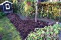 Moestuinbed bedekt met mest naast een klein tuinhuisje