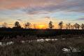 Zonsondergang boven een sloot en bomenrij in de herfst