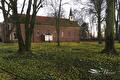 Gras vol gele winterakonieten voor een bakstenen kerk met torentje