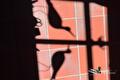 Schaduw van twee vogelbeelden en raamkozijn op rode tegels