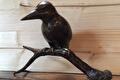 Bronzen ijsvogel op een tak tegen een houten wand