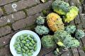 Stekelige groene en oranje vruchten naast een bord muismeloentjes