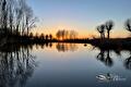 Zonsondergang met knotwilgen weerspiegeld in stil water