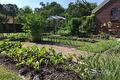 Moestuin met groentebedden, bomen en een tuinkas in de zon