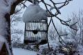 Besneeuwde vogelkooi met voer hangend in een boom