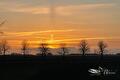Oranje avondlucht met condensstrepen boven silhouetten van bomen