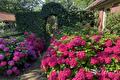 Tuinpad tussen roze en paarse hortensia's naar een boog in de haag