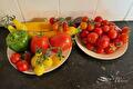 Twee borden met tomaten, paprika's en gele pepers op het aanrecht