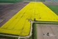 Luchtfoto van een geel bloeiend koolzaadveld tussen akkers