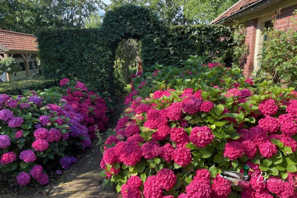 Weelderig mooi...