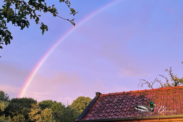 prachtige regenboog