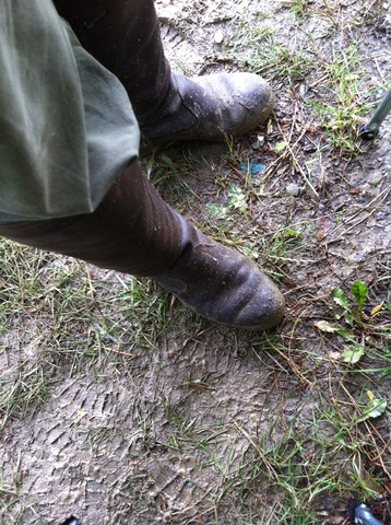 Dubarry Galway walnut in de modder