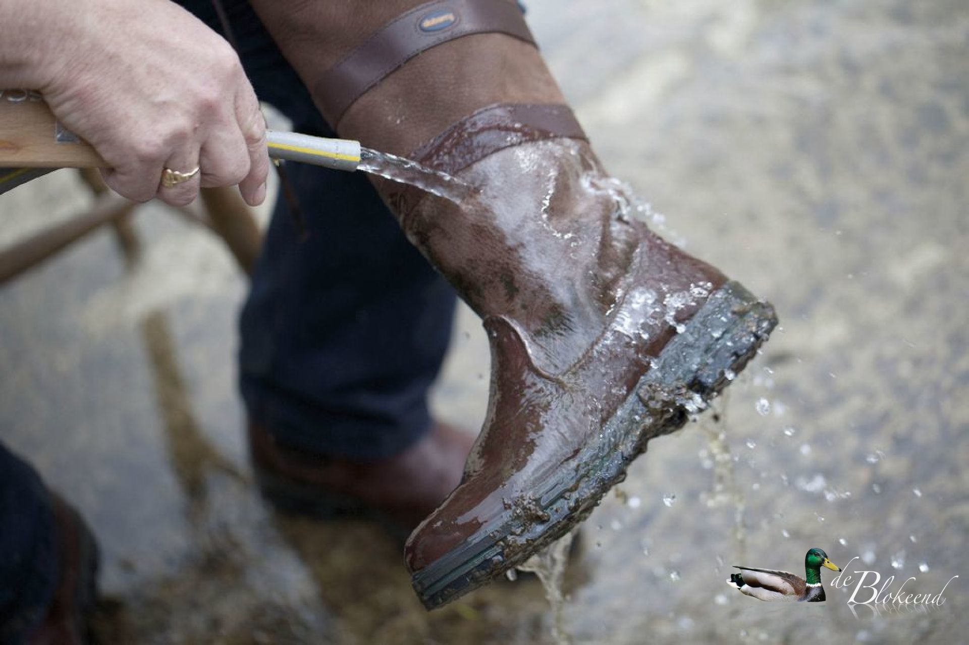 Dubarry laarzen in Groningen - De Blokeend
