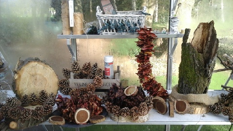 En als dan de tomaten, druiven etc aan de winterslaap beginnen, leent de hobbykas van de Blokeend zich uitstekend om je hobby uit te voeren bij een temp van 21graden met een grandioos uitzicht over het geoogste land. Dank voor de foto en tekst El!