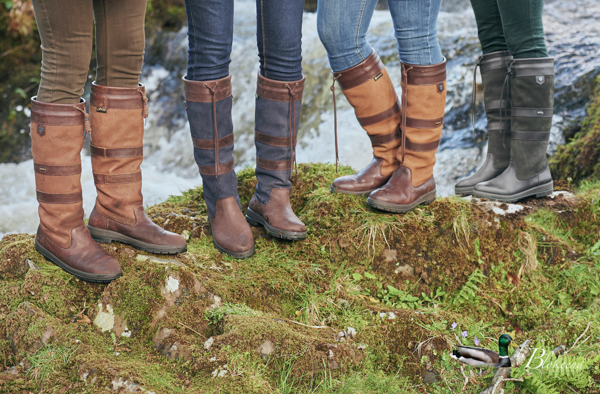 dubarry kopen